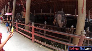 Thai girlfriend and GF share a hot POV blowjob at home