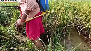 Village Nomita Spray On Rice Plants Bengali Audio Dirty