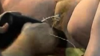 Blonde amateur MILF pov toys fingering shaved cunt