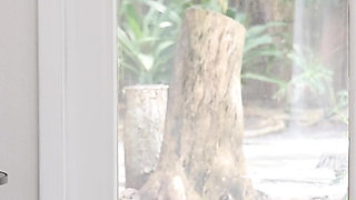 MILF in Heat, BBC Hits the Right Spot Over and Over