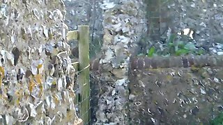 perv spies on farmers daughter whilst she plays with her pussy behind the barn (public)