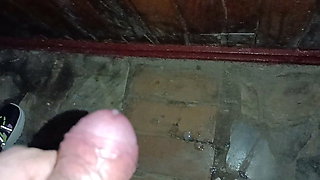 Sucked a neighbor's dick in the toilet
