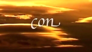 The Castle of Pleasure