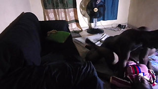 Submissive, dominated, mission