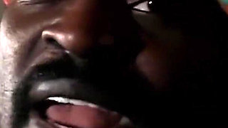 A Black Cock... Is Forever