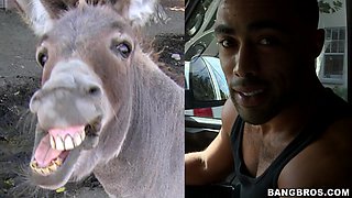 Sexy Blonde Amateur Surfer Fucked On The BangBus