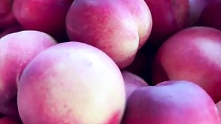 Fiery Chloe's chick dirt