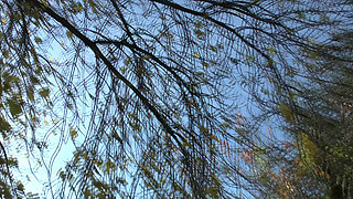 Street Fucker Wild Couch Poundings