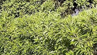 Volleyball Behind the Scenes