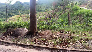 Stepsister Rides My Cock in a River in the Colombian Jungle
