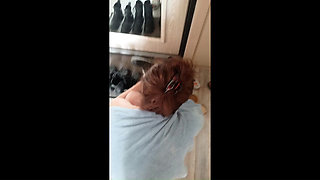 A very loving sexy wife. Part 1.