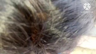 Desi Bhabhi Sucks Cock and Cums on Face - Indian Aunty Homemade Sex