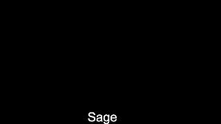 Sage - More Anal From The Archives