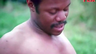 The Farmers Stepdaughters (1976)