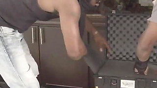 Swinger Chronicles: Alexis James