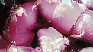 Antique Taboo, Cunny & Pooch