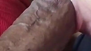 Eve Loves Sucking Shane Diesels Huge BBC for the First Time