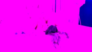 Emo Amateur Teen stript vor der Cam