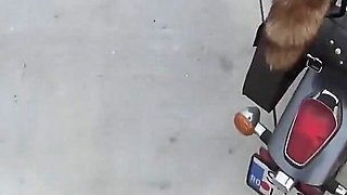 Black Anamary Fucked by Stripper