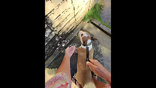 Paiko Fishpond, East Oahu, Hawaii