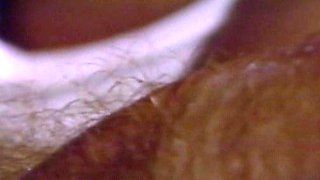 Group Sex and Hardcore Fucking Parties