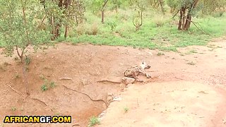 Hung White Tourist Pounds Real Black Babe Pussy in Safari Van - POV Rough Sex