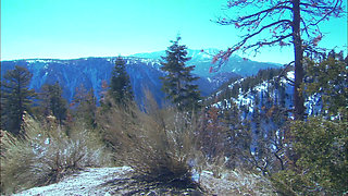 Hot and horny babe gets her pussy licked and slammed