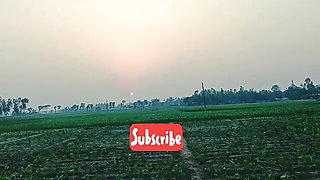 Bangladeshi Romantic Story taltking