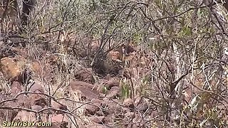 Rough Outdoor Sex with African Housewife - Blacked by Tourist