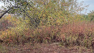 pissing pussy from behind amazing view