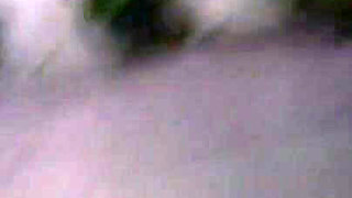 Apryl