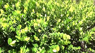 Charming teen heartbreaker incredible sex clip