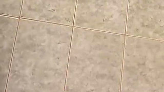 Sexy Shower Show Already on