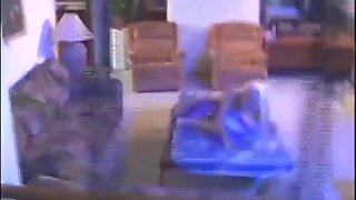 Vintage Nasty Experience!!! #04 - Alana Evans And Herschel Savage