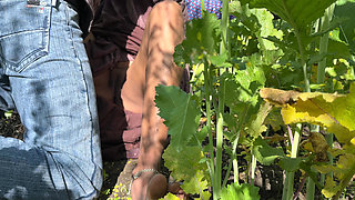 Sasumaa Jamai ke sath outside kheto me romance xxx video