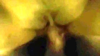 Yang Viral Februari 2026 Air Susu Binor