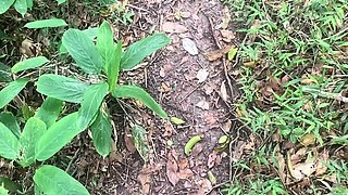 I fucked a stranger on the beach