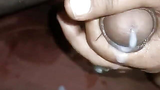 New Xvideo