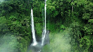 Amateur couple outdoor sex