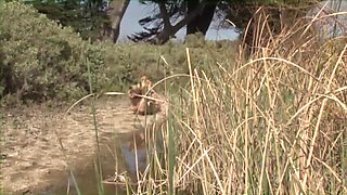 Please, Fuck Me Harder! - Blonde with Big Tits Gets Pounded on the Beach and Bed