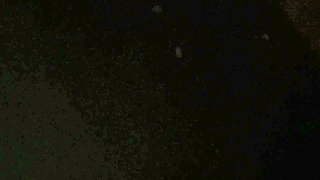 Freeballing During My Evening Run