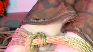 Redhead French Love Cocks