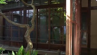 Erotic Japanese amateur XLF3553086114