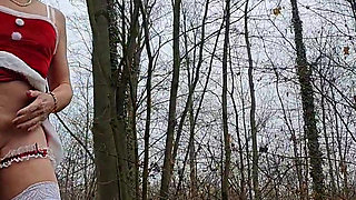 Christmas in the forest