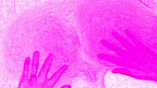 A sexual encounter is about joy, so intense and wild that it's difficult to describe in words.