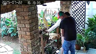 Cuckold Boss Wanted Me to Fuck His Slut Wife He Jerks off