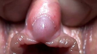 Clitoris is very close-up