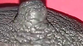 Step Brother Fuck in My Wife's Ass Hole Anal Fuck -8