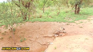 Sexy Black Girlfriend Hard Pussy Pounded By BWC American In Amateur Fuck