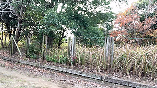 Solo Training 51: Street Masturbation in Crisis